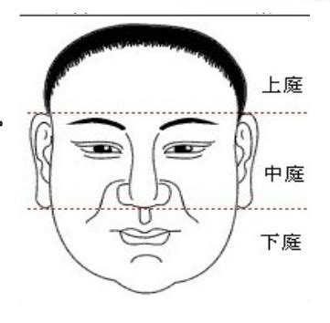 面相 上庭 中庭 下庭|面相学的入门基础，看人先观三庭，是福是祸一清二楚